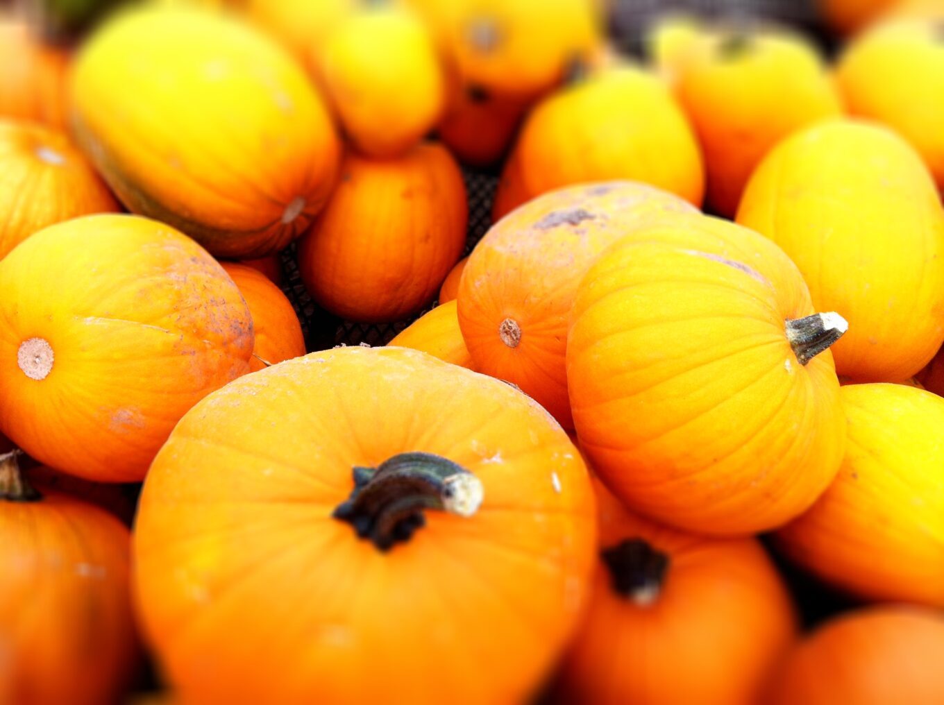 A fall weekend