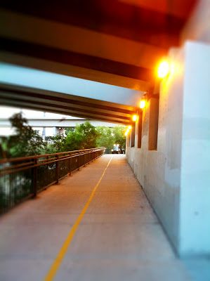 Chicago marathon: week eleven
