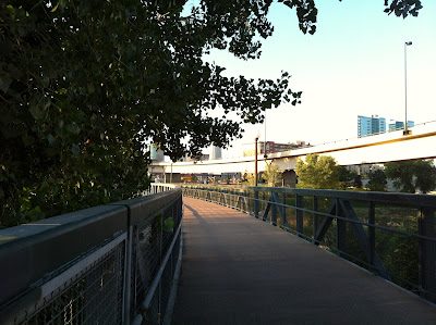 Chicago marathon: week six