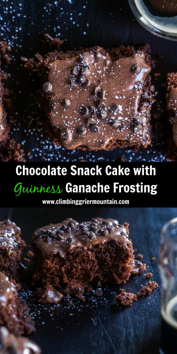 Chocolate Snack Cake with Guinness Ganache Frosting