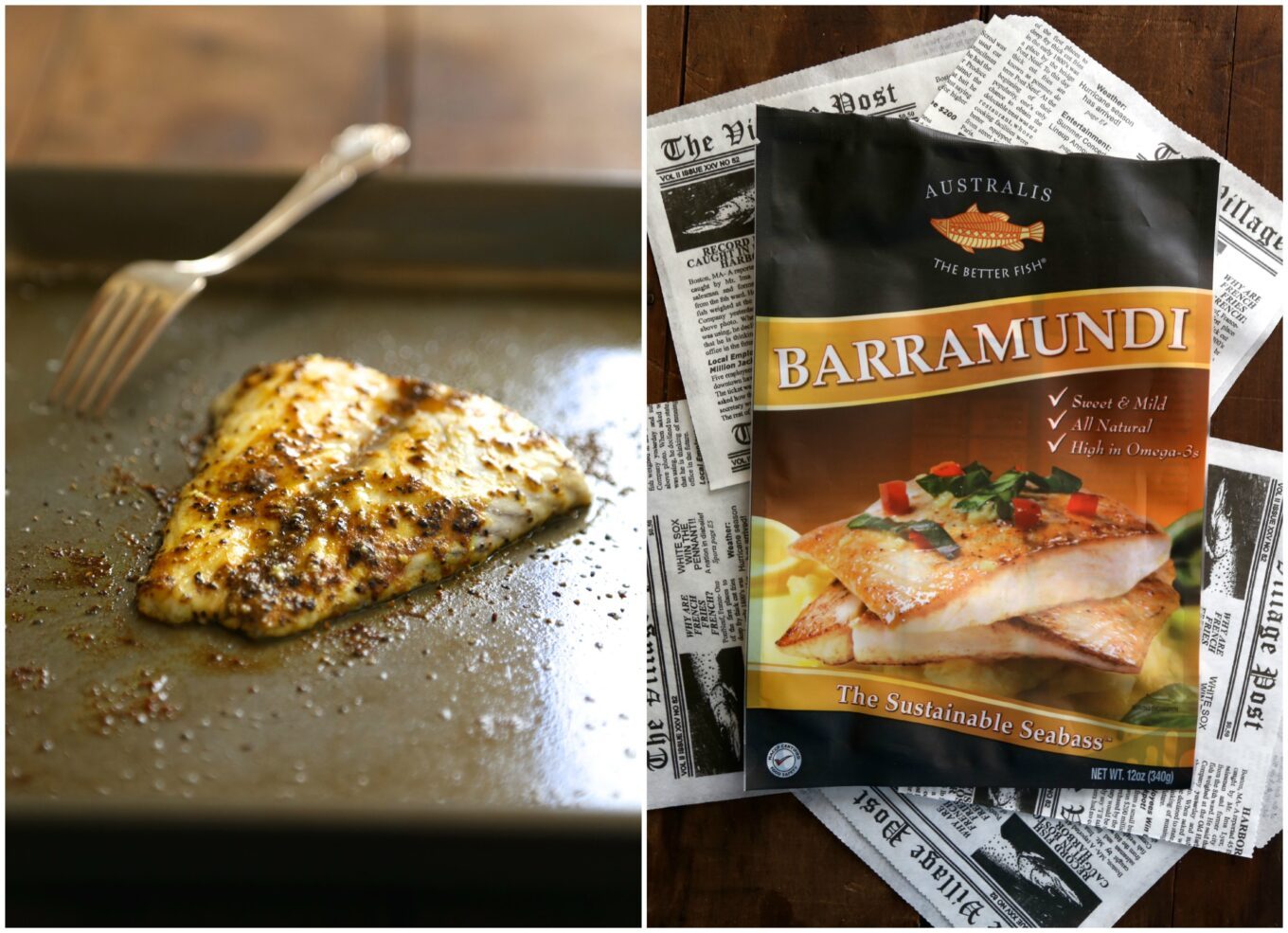 barramundi