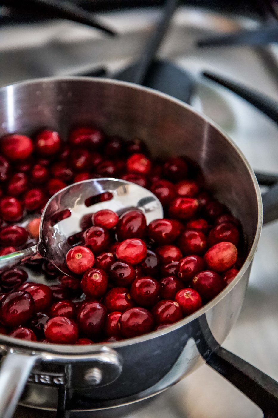 Simple Cranberry Ricotta Cake