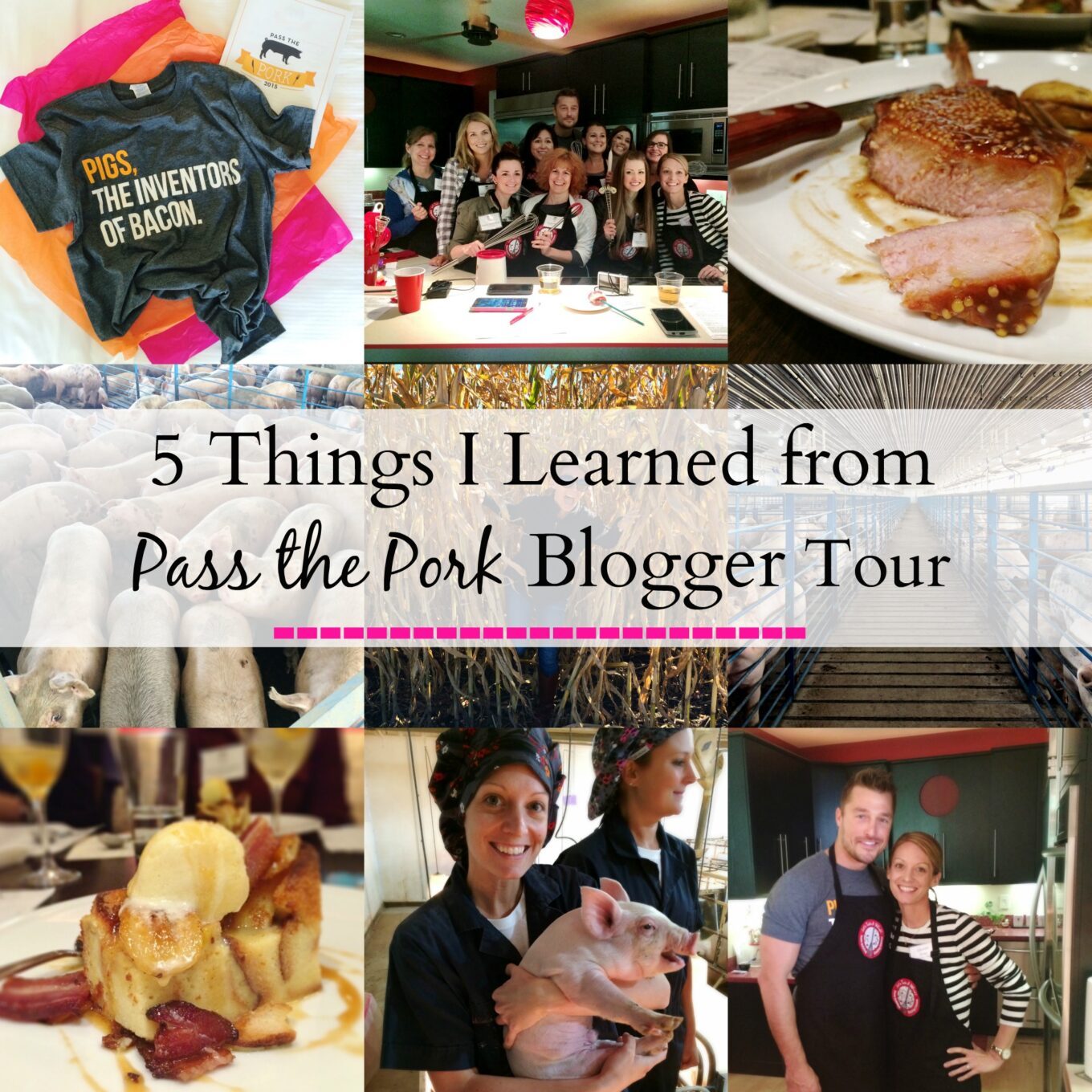 Five things i learned from pass the pork blogger tour