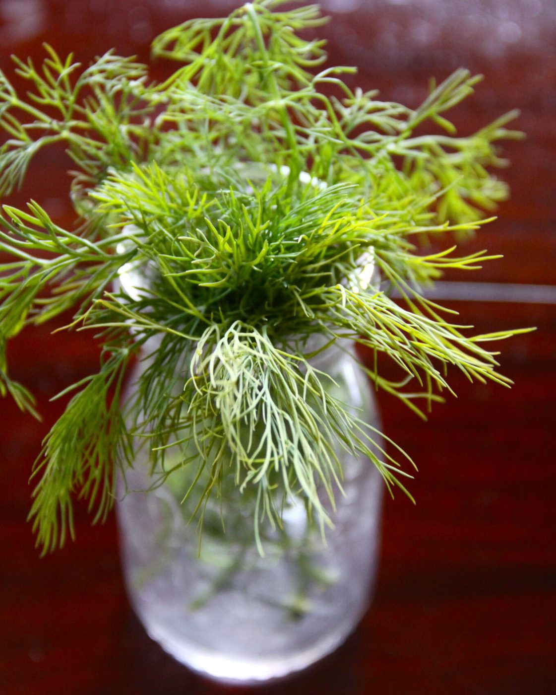roasted organic carrots with dill