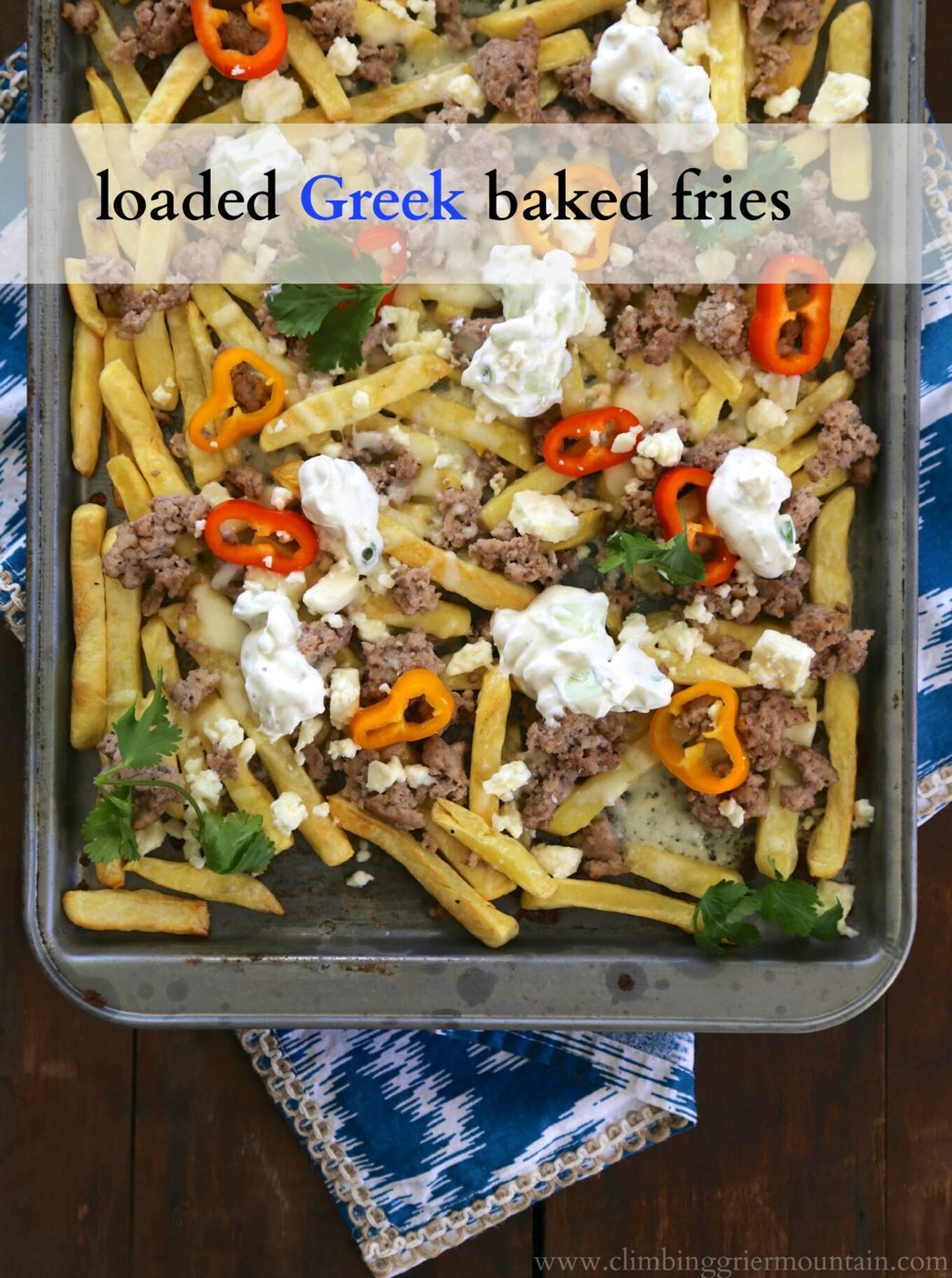Loaded greek baked fries with cucumber yogurt sauce {Get Smart with Alexia Blog Party & a GIVEAWAY!}