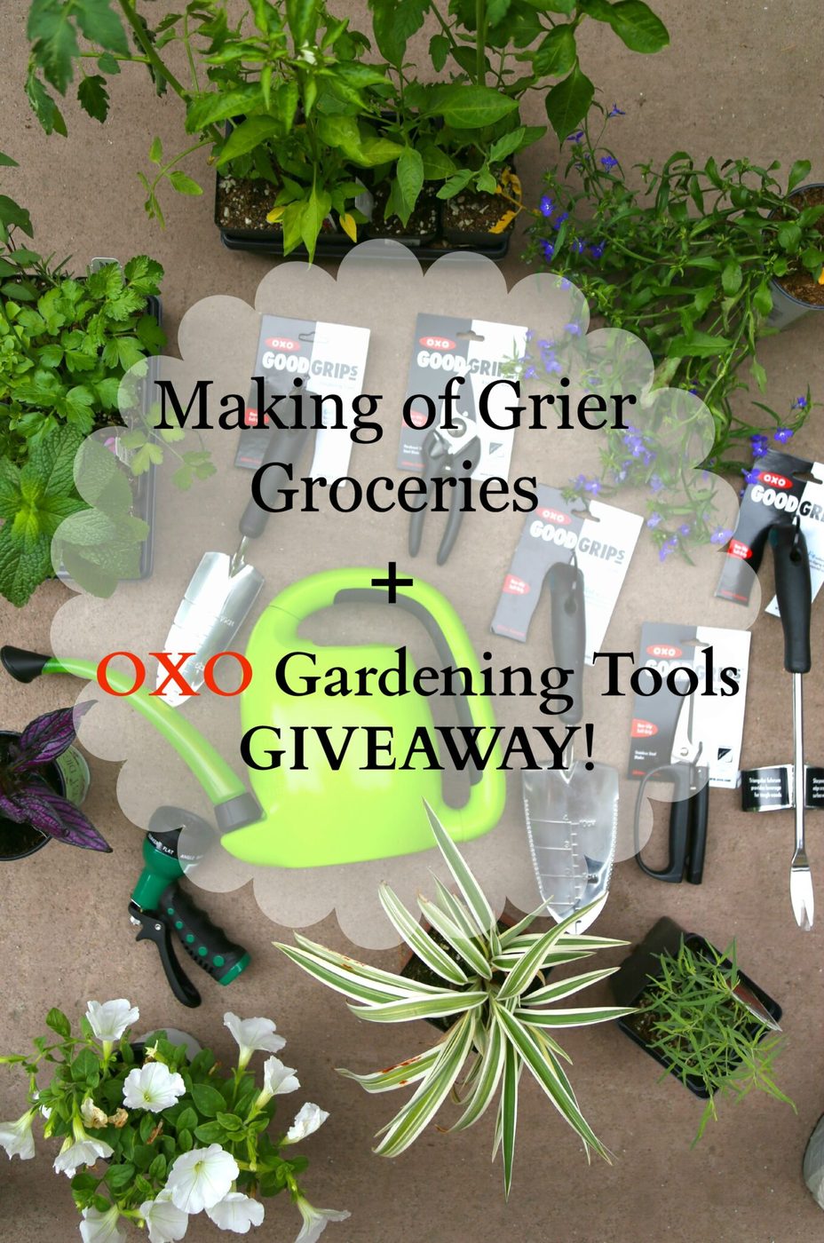 Making of grier groceries + OXO gardening tools GIVEAWAY!