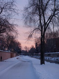 Meet My Running Trail