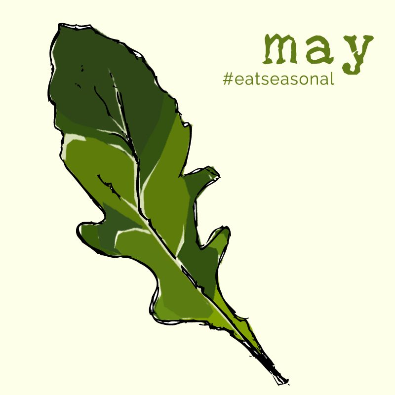 may illustration