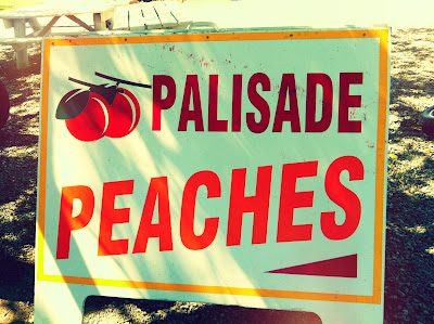 Palisade: take two