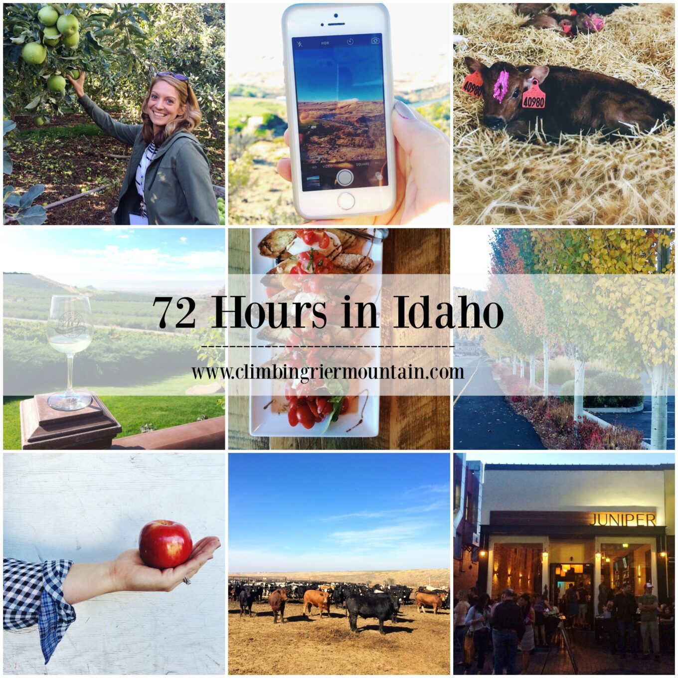 Seventy-two hours in idaho