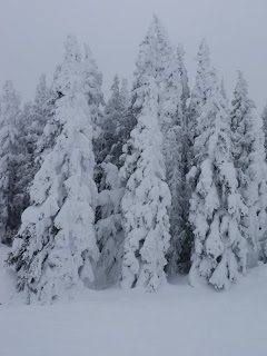 Ski Town U.S.A.