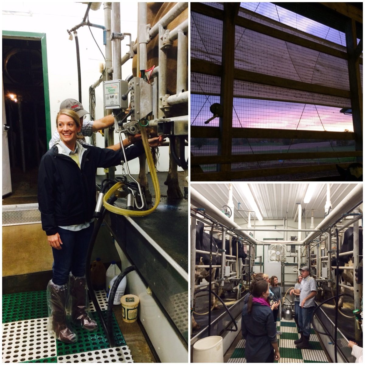 trip recap: ohio american dairy adventure