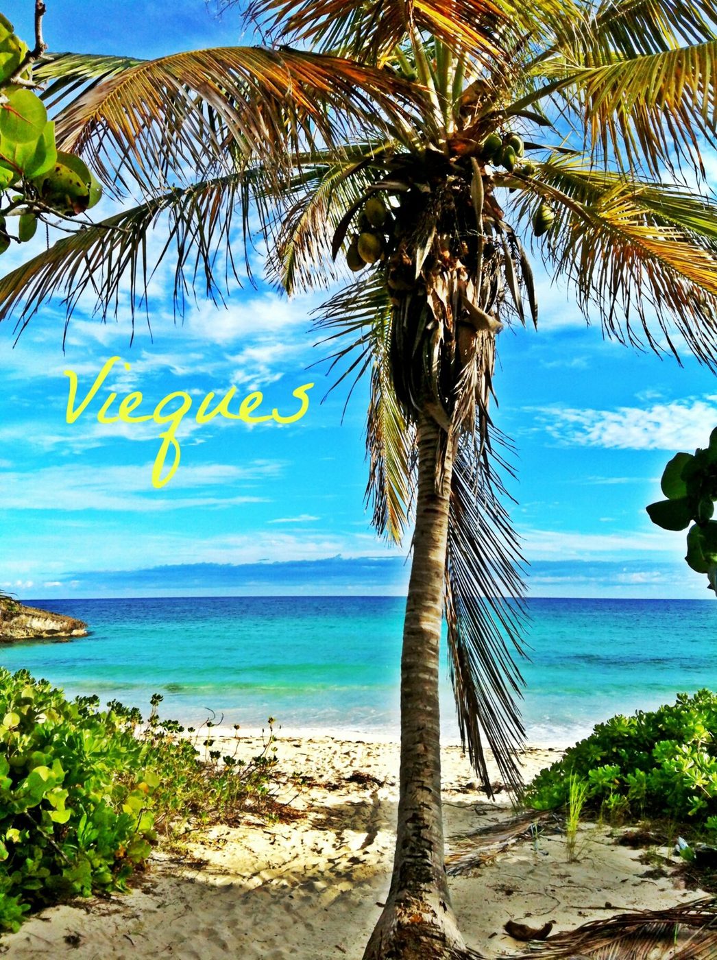 Trip recap: vieques, puerto rico