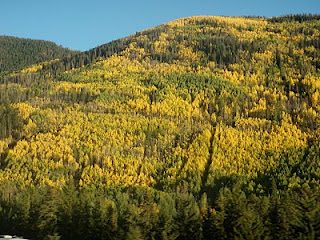 Vail