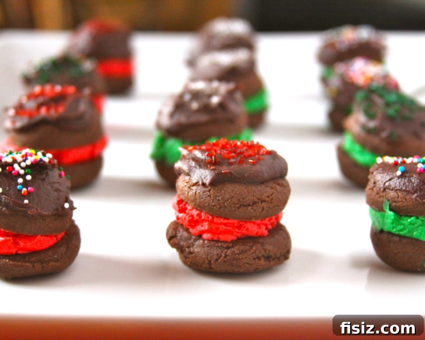 featured 207