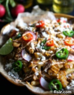 Ultimate Kimchi Carnitas Fries 2 img 10342 5