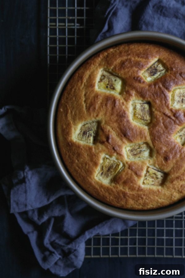 Tropical Grilled Pineapple Ricotta Cake 4 Deliciously baked Easy Grilled Pineapple Ricotta Cake, ready to be served