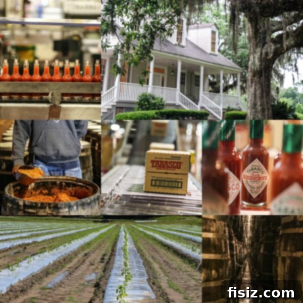 Crab-Crowned Cajun Burger with Pimento Gravy 5 A collage of impressions from Avery Island, highlighting Tabasco production and natural beauty