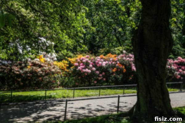 Edinburgh, Scotland: Unforgettable Stays, Delicious Eats, and Iconic Sights 16 Lush green park with vibrant flowers in Edinburgh