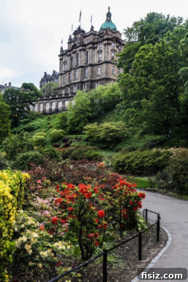 Edinburgh, Scotland: Unforgettable Stays, Delicious Eats, and Iconic Sights 18 Beautiful blooming flowers in an Edinburgh park