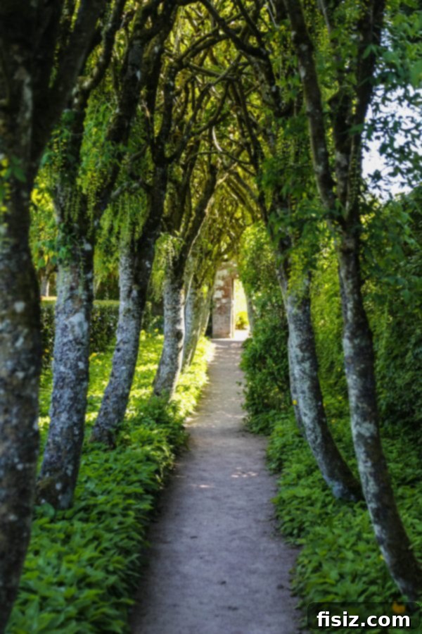 Inverness, Scotland: Sleep, Dine, Explore 18 Lush flower garden at Cawdor Castle, Scotland