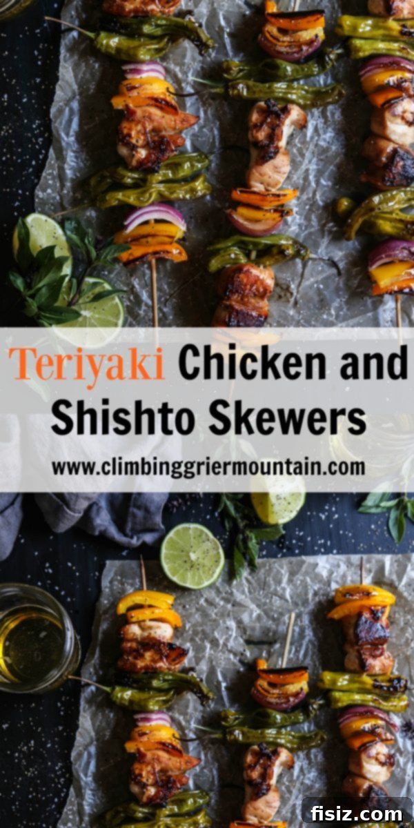 Grilled Teriyaki Chicken and Shishito Kabobs 7 Teriyaki Chicken and Shishto Skewers