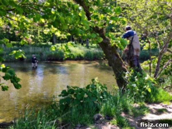 Perth Scotland The Best Places to Stay Eat and Experience 12 IMG_1167