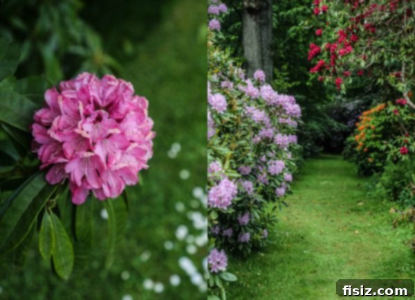 Perth Scotland The Best Places to Stay Eat and Experience 6 flowers