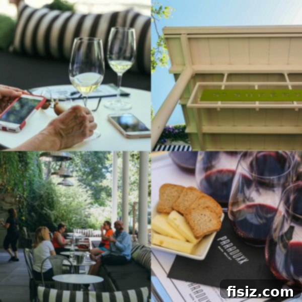 Napa Valley bike tour - comfortable bikes for exploring