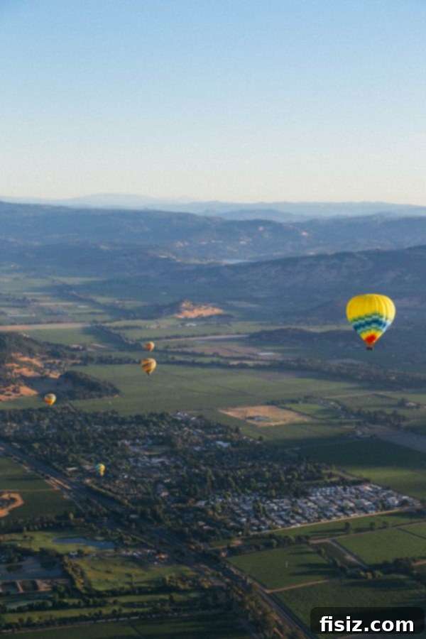 Napa Valley hot air balloon - aerial view of vineyards