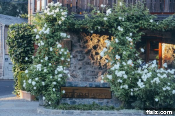 French Laundry Garden - lush rows of vegetables
