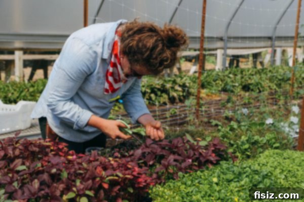 French Laundry Garden - inspiring culinary garden