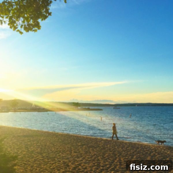 Traverse City, Michigan: Your Ultimate Guide to Stays, Bites, and Sights 3 Scenic overlook of West Grand Traverse Bay with lush greenery and clear blue waters