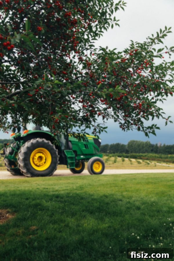Traverse City, Michigan: Your Ultimate Guide to Stays, Bites, and Sights 6 Person picking fresh tart cherries from an orchard branch in Traverse City