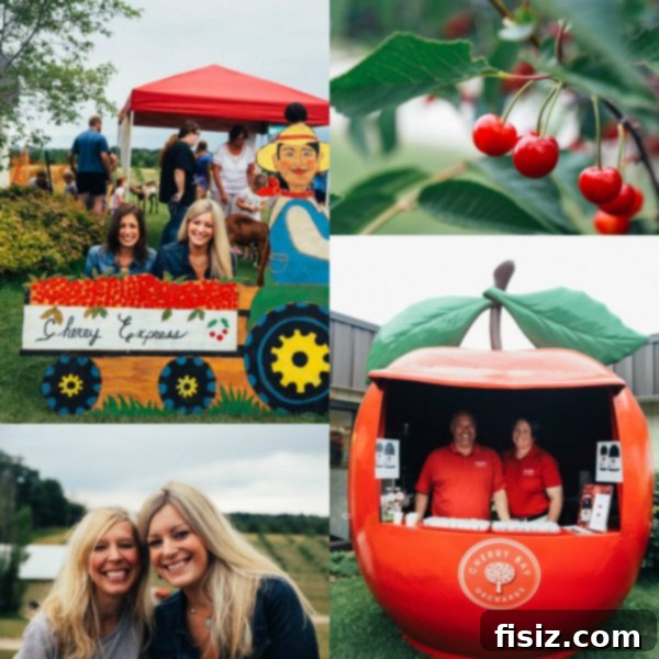 Traverse City, Michigan: Your Ultimate Guide to Stays, Bites, and Sights 7 Rolling cherry orchards under a clear sky in Northern Michigan