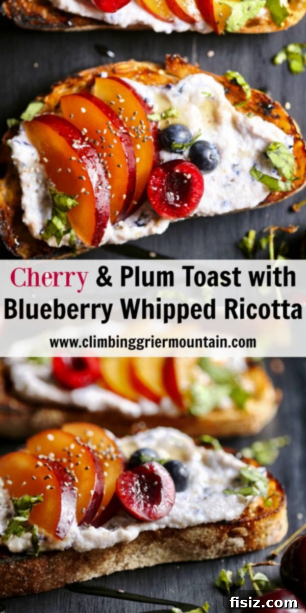 Orchard Berry Ricotta Toast 7 Artistically arranged cherry and plum toast with blueberry ricotta on a white plate