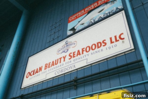 Market Fresh Sockeye Salmon Nachos 12 A stunning view of the Copper River, a vital waterway for wild Alaskan salmon.