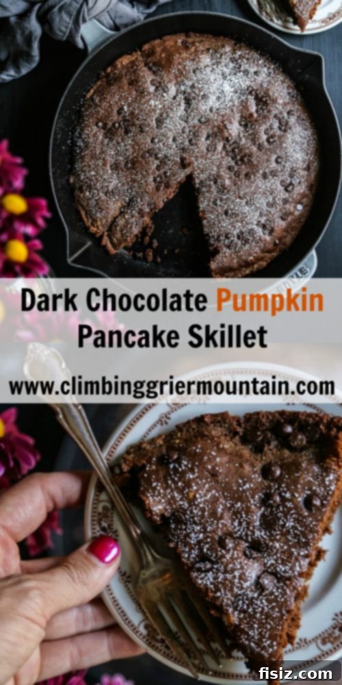 Indulgent Skillet Dark Chocolate Pumpkin Pancakes 7 Dark Chocolate Pumpkin Pancake Skillet close-up, showcasing its delicious texture and generous chocolate chips