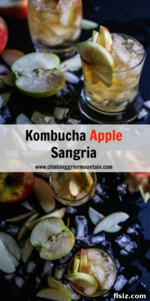 Sparkling Apple Kombucha Sangria 8 Delicious Kombucha Apple Sangria Ready to Serve