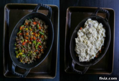 Coconut Curry Shepherd's Pie 4 pie