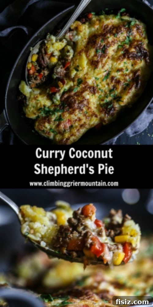 Coconut Curry Shepherd's Pie 7 curry-coconut-shepherds-pie