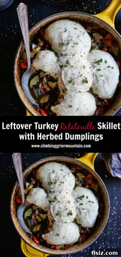 One-Pan Turkey Ratatouille and Herb Dumplings 8 leftover-turkey-ratatouille-skillet-with-herbed-dumplings