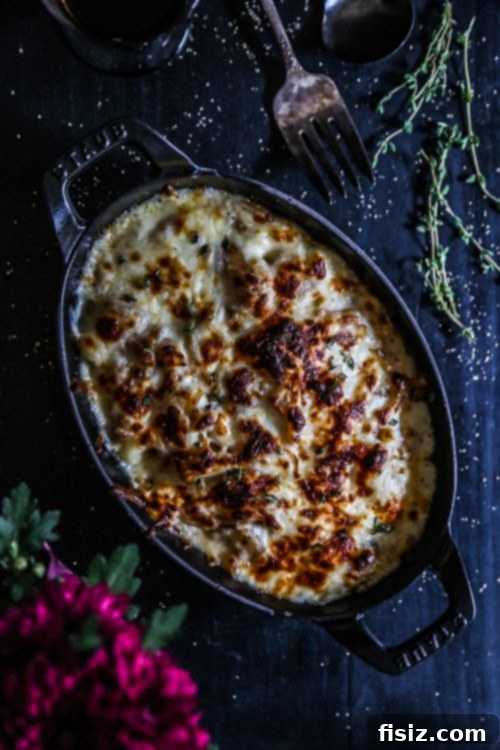 French Onion Gnocchi Gratin 6 A close-up of the French Onion Gnocchi Casserole, showcasing the texture of the gnocchi, the rich sauce, and the golden-brown cheese topping.