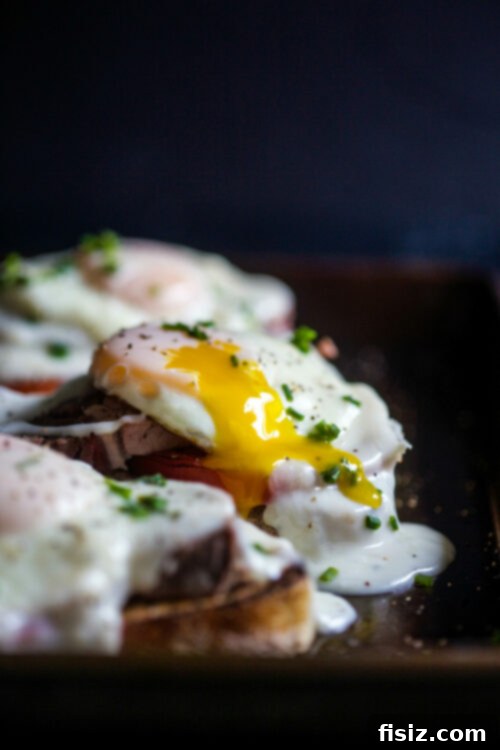 Prime Rib Hot Brown Egg Melts 2 Gourmet Prime Rib Hot Brown Egg Sandwich with cheese gravy, roasted tomatoes, and a fried egg