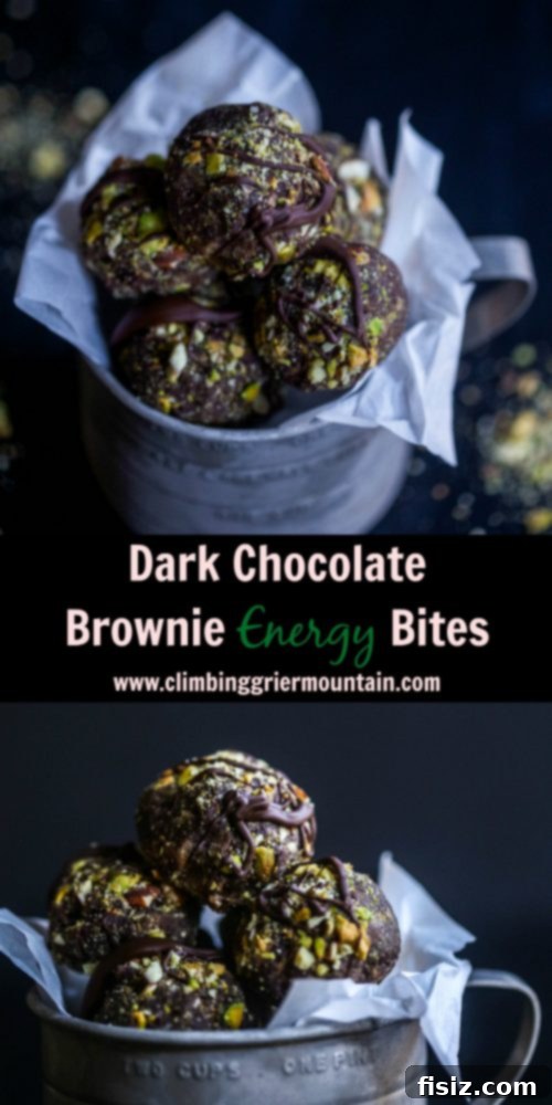Finished Dark Chocolate Brownie Energy Bites dark-chocolate-brownie-energy-bites - finished-product