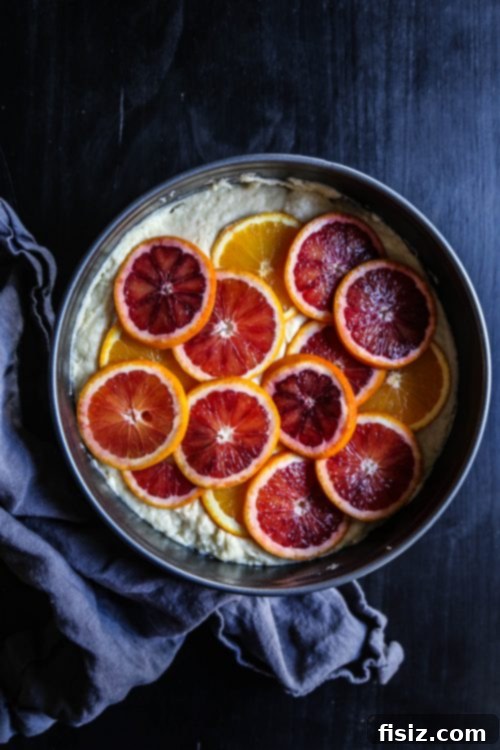 Mediterranean Blood Orange Ricotta Cake 3 Close-up of a slice of Blood Orange Ricotta Cake, showing its moist texture and delicate orange topping.