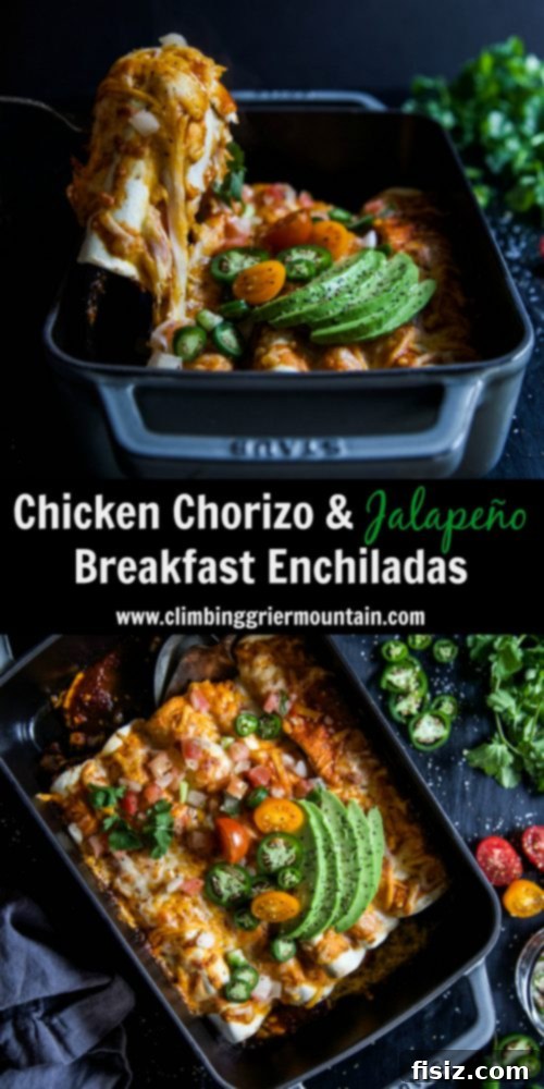 Spicy Chicken Chorizo and Jalapeño Breakfast Enchiladas 7 Chicken Chorizo & Jalapeño Breakfast Enchiladas presented with fresh garnishes like cilantro, avocado, and sour cream on a vibrant plate, ready for a delicious meal.