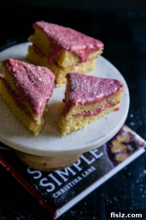 Fuchsia Raspberry Delight 5 Dessert for Two: Sweet and Simple, Christina Lane's newest cookbook, offers a tempting array of small-batch desserts.