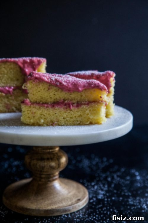 Fuchsia Raspberry Delight 6 The Hot Pink Raspberry Cake, a perfect romantic dessert for two.