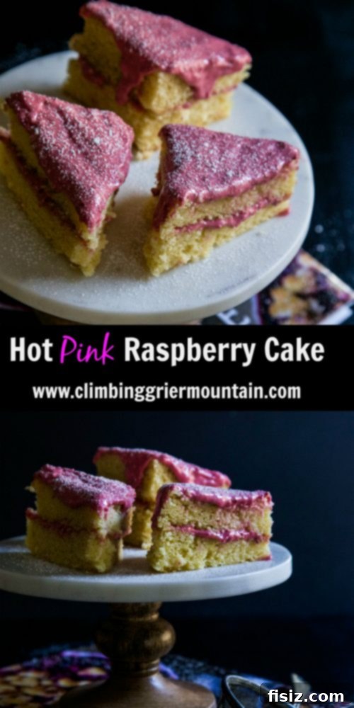 Fuchsia Raspberry Delight 8 Close-up of the beautiful Hot Pink Raspberry Cake, showcasing its vibrant color and tempting frosting.